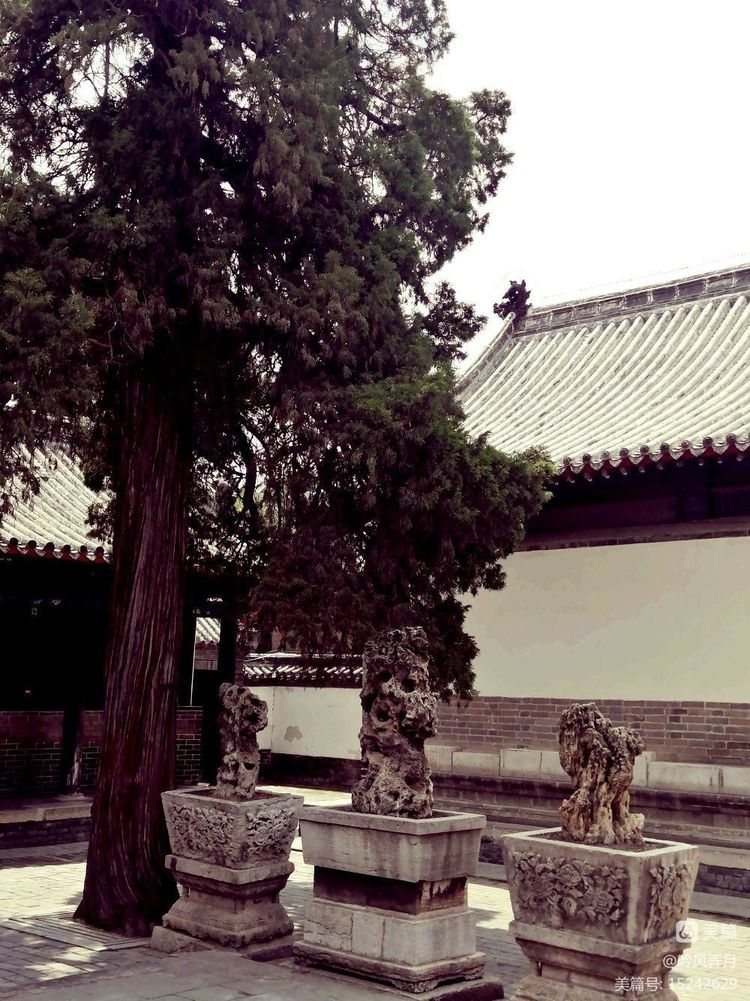 曲阜三孔介绍文章,曲阜三孔朗诵