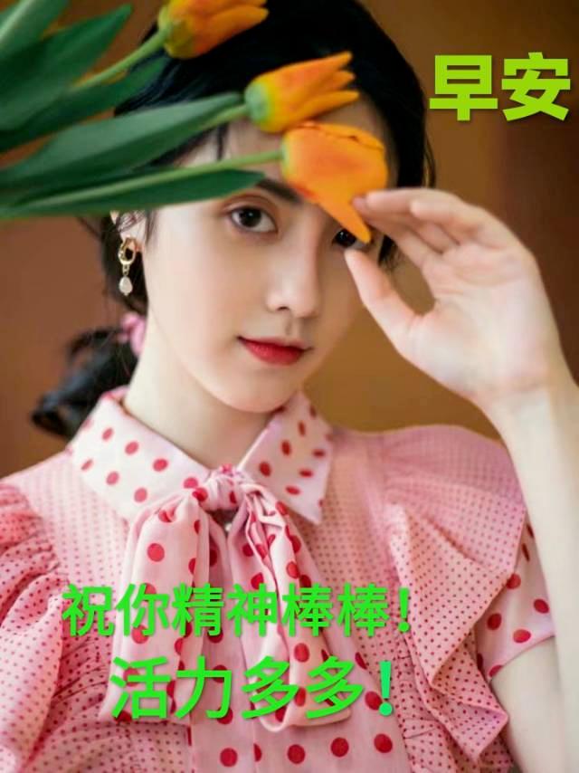 问候语祝福朋友的句子暖心,问候祝福朋友开心快乐的温馨句子