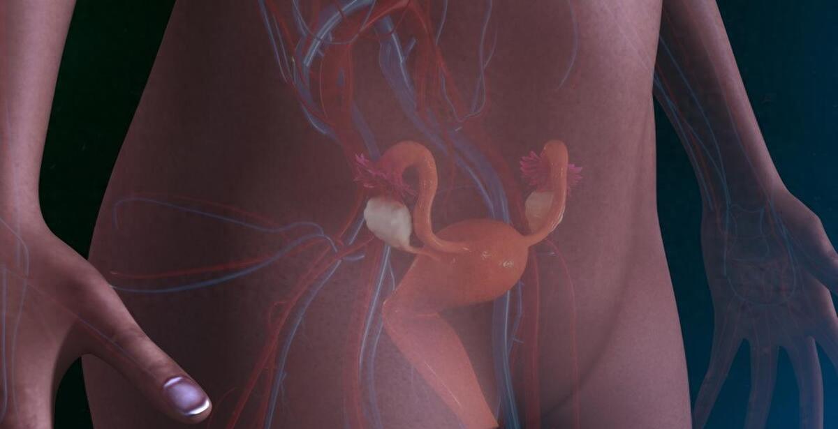 没有阴道的女人，和正常女性有哪些不同？还能有夫妻生活吗？