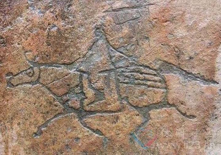 每7粒枸杞就有1粒来自这里，宁夏这个小县也太低调了