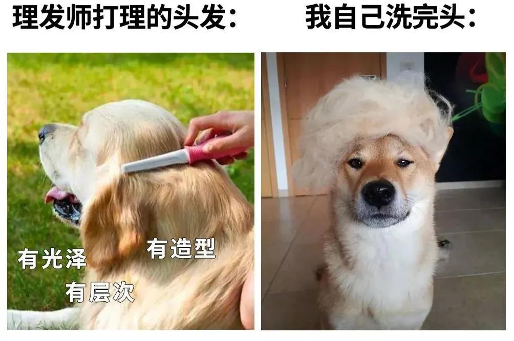 花200块钱烫的头,花二百块钱烫头