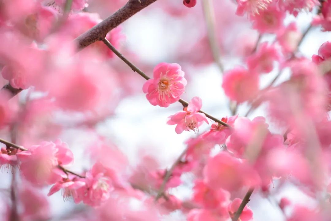 一年四季的古诗好词好句,每天一首好诗词三分凉意七分愁