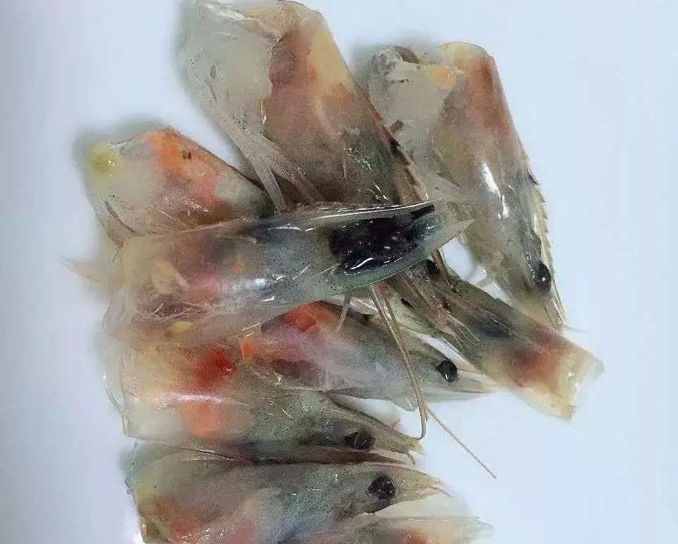 虾背上的黑线到底能不能吃,虾后面的黑线可以吃吗