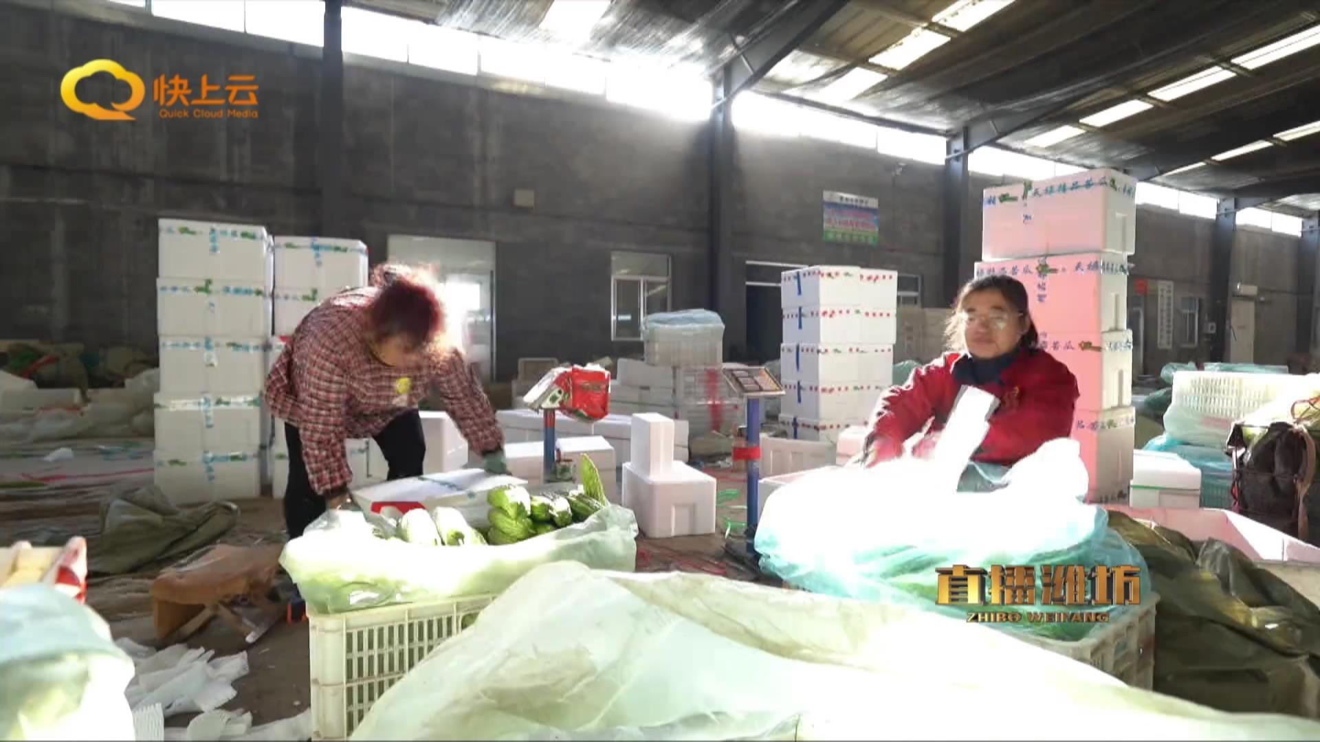 打造农业全产业链要做到什么,打造现代全产业链订单农业