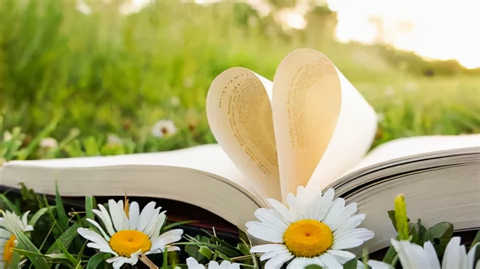 老公的前任小姨子说：你要再婚可以，但是必须做绝育