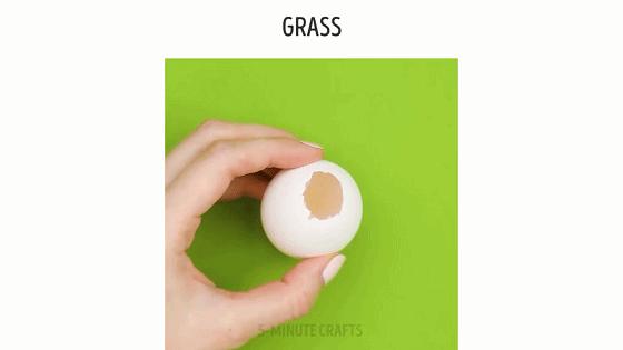 家庭阳台各种各样蔬菜种植视频,阳台种蔬菜需要加微生物有机肥吗