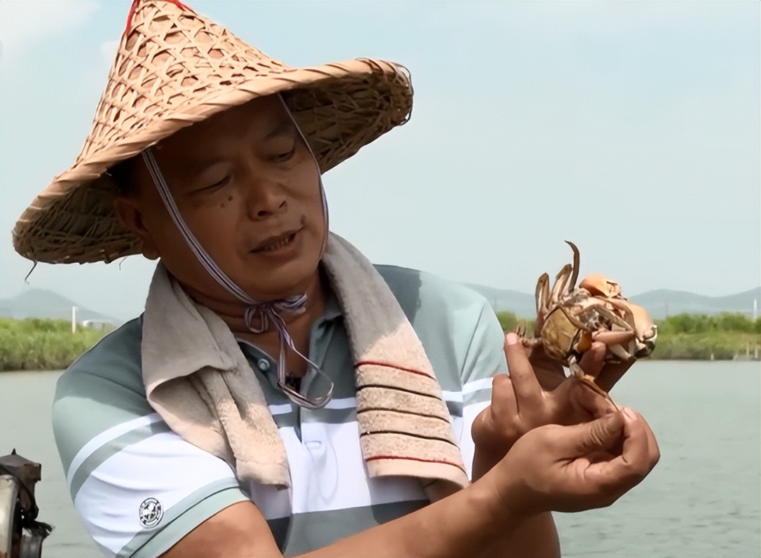 广东小伙子养黄油蟹,中国养殖黄油蟹