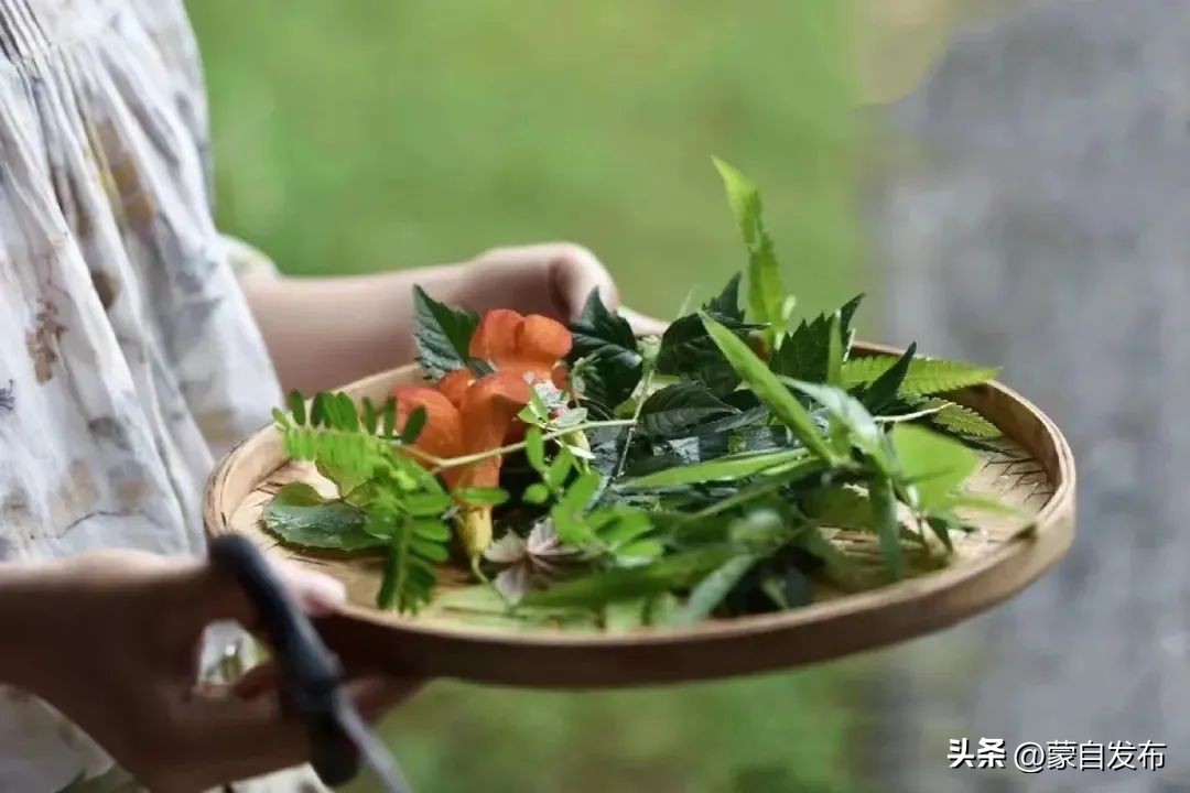 美食、乐队、集市...超多活动精彩来袭！这个“五一”玩转蒙自