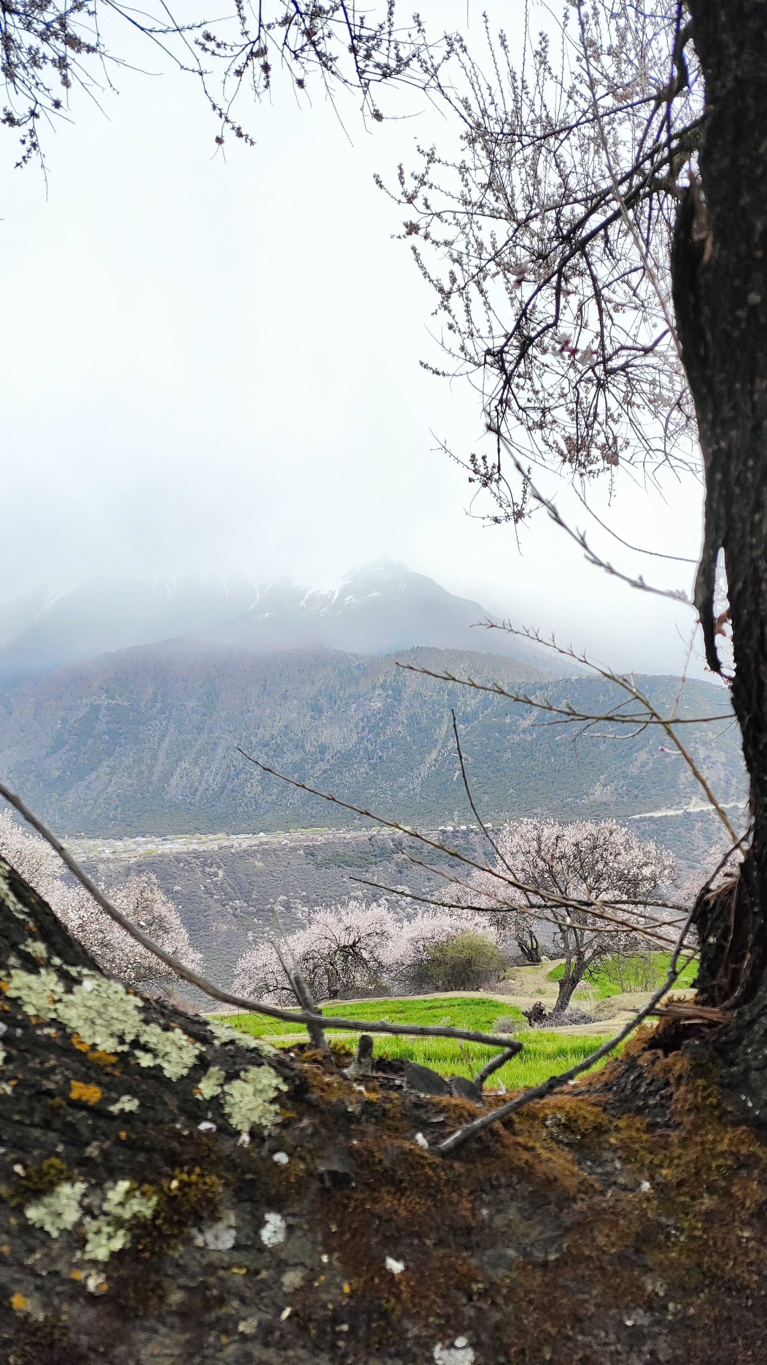 2个人去云南旅游5天多少钱,去北京穷游三天需要多少钱费用