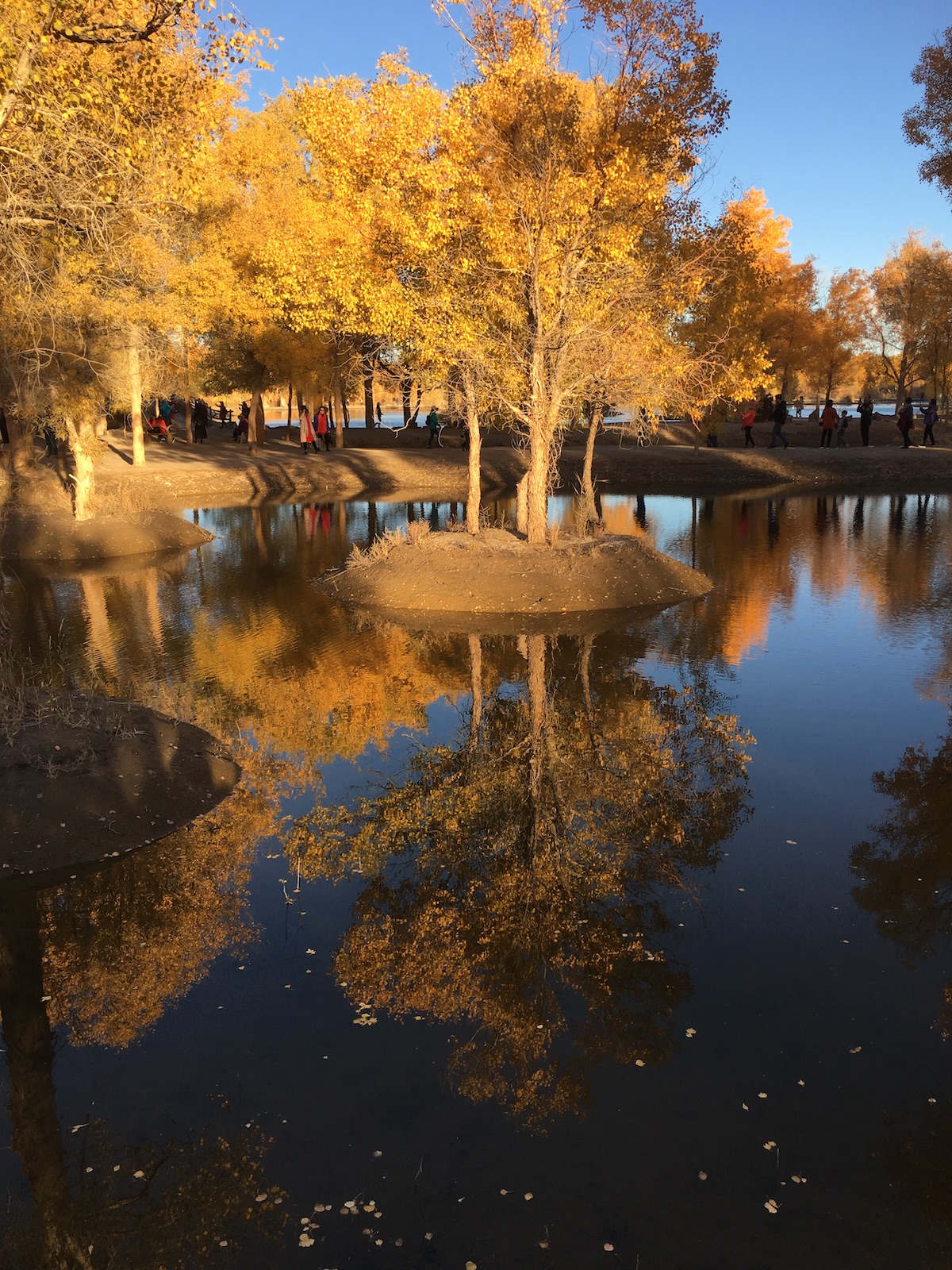 北京自驾额济纳胡杨林十天攻略,从北京到额济纳胡杨林线路