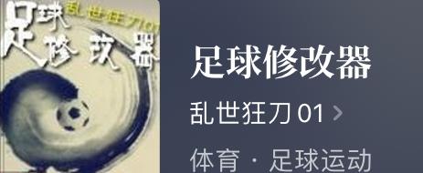 竞技类的足球小说有哪些类型,足球类长篇小说有哪些类型