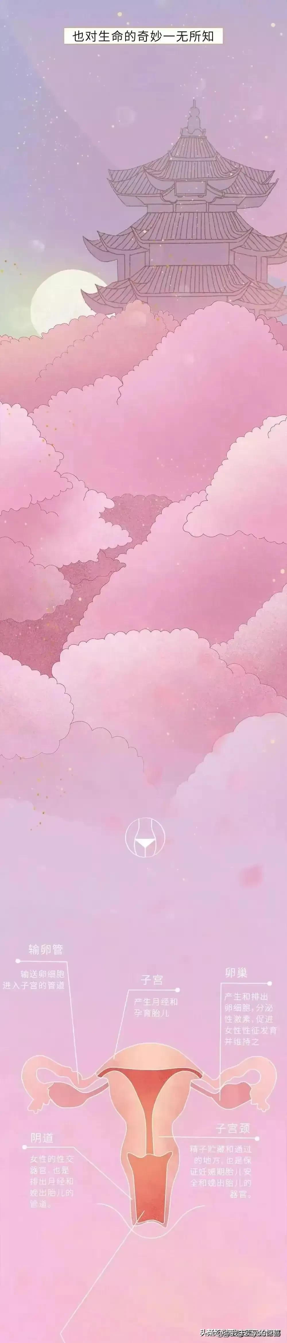 女性安全知识漫画,漫画女性安全知识