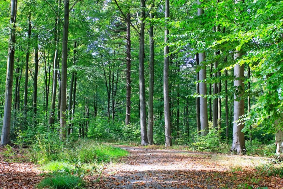开车去欧洲的路上视频,开车去欧洲的完整视频