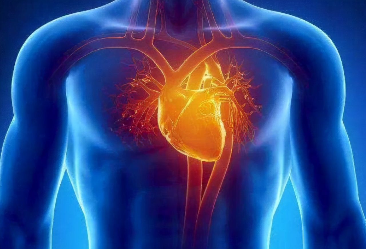 后背疼不一定是心脏的问题,后背疼是累的不