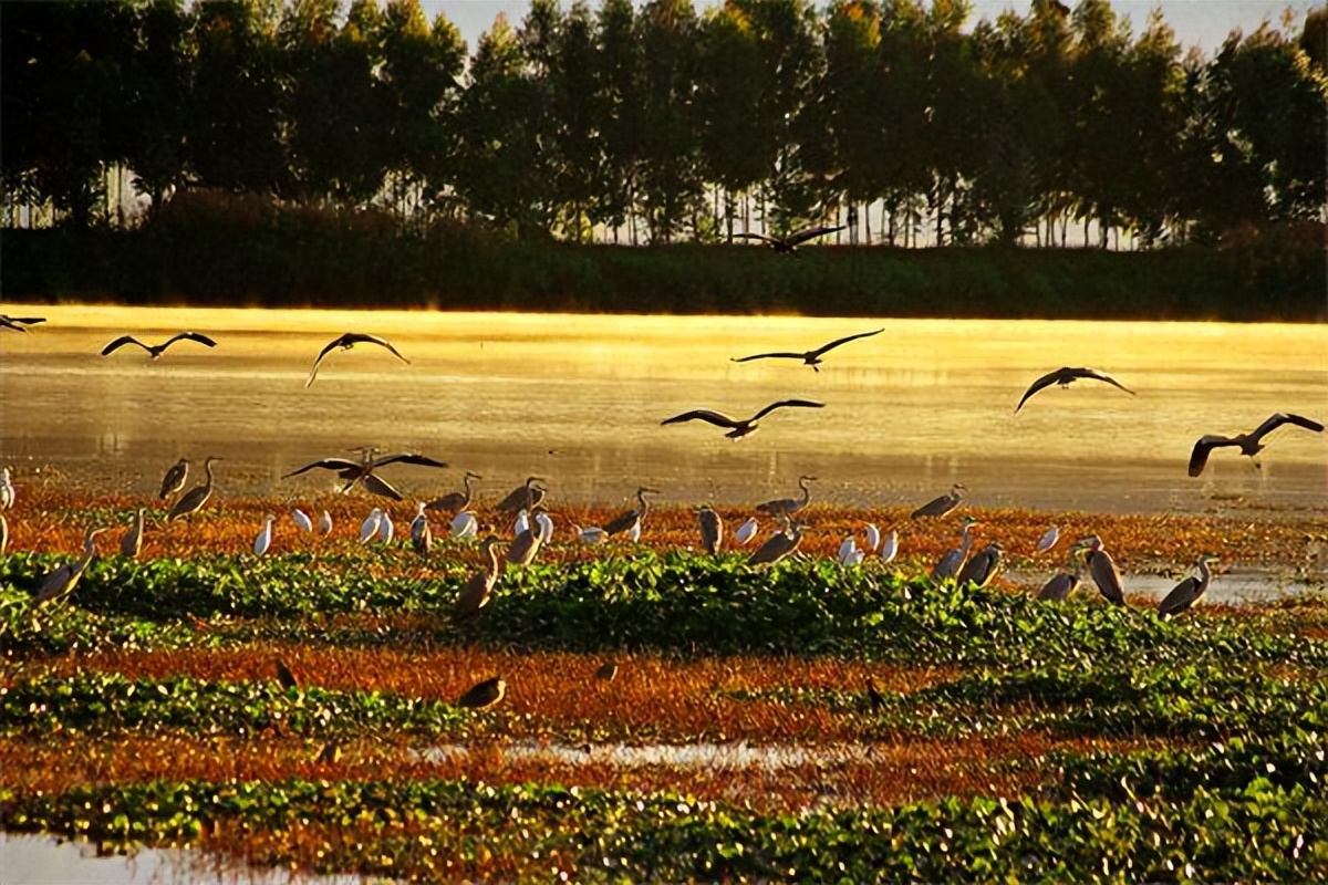 大理家乡话,云南大理家乡话怎么讲