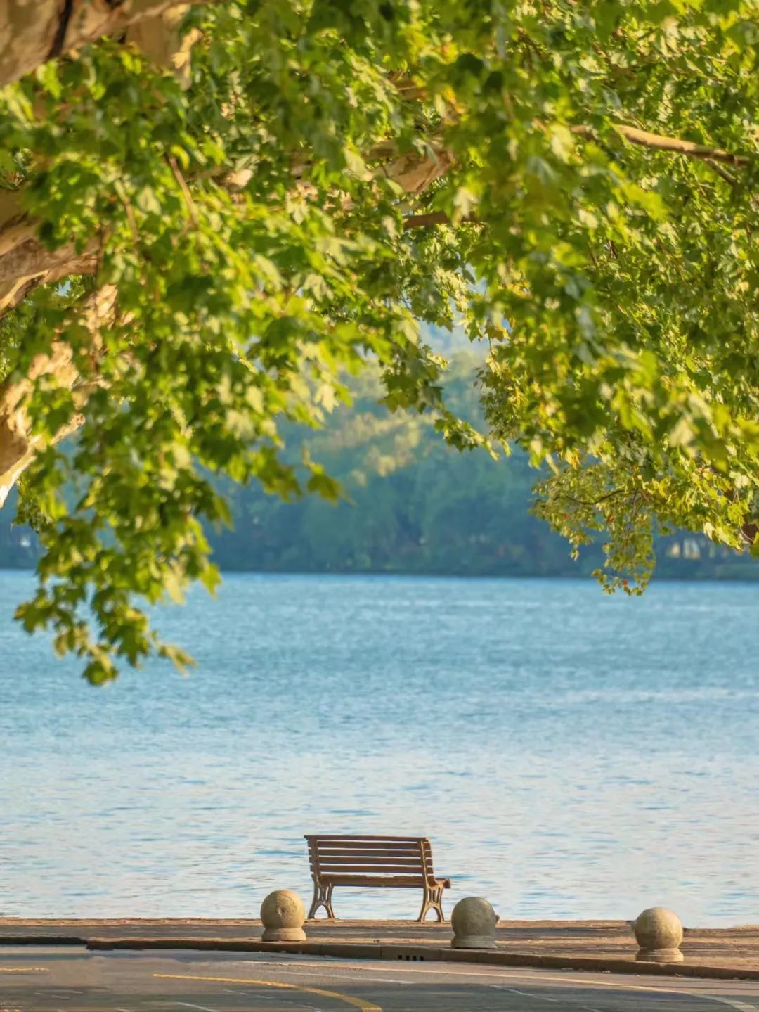 北纬52°1314，这个“为爱而生”的地方，连空气都是甜的