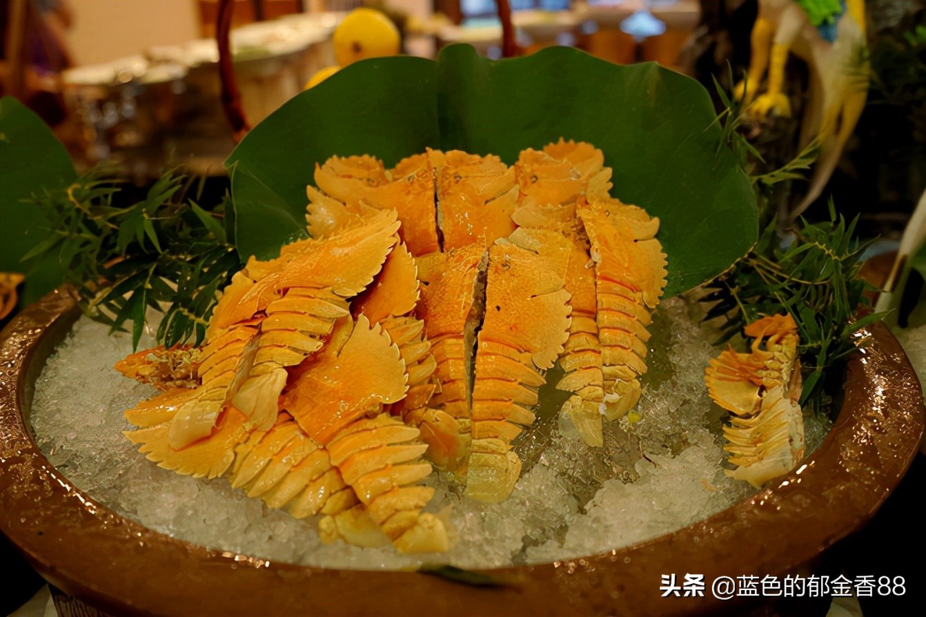 无名河我心中的伊甸园,画出我心中的伊甸园