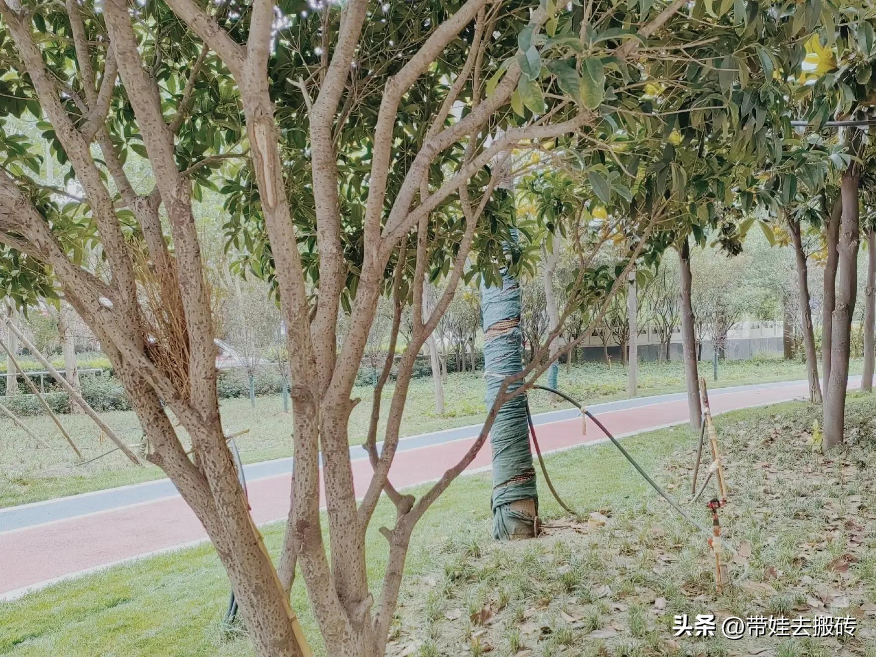 3岁孩子玩具被抢不敢抢回来,孩子在幼儿园被抢了玩具不敢还手