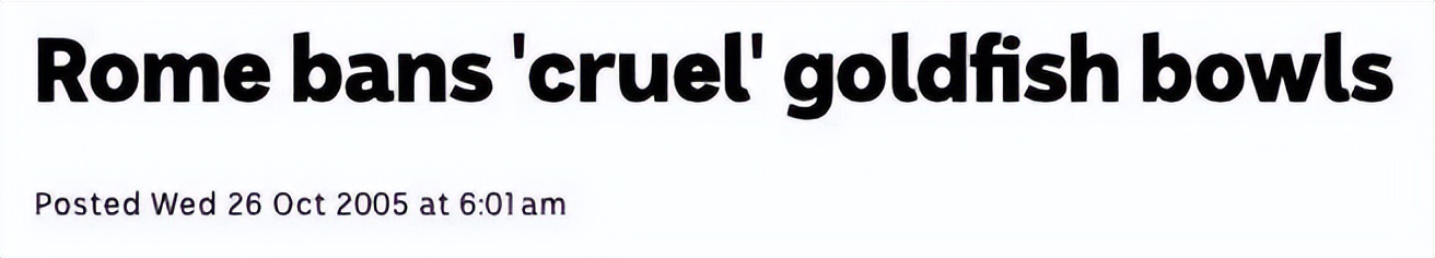 欧洲人不准用圆鱼缸养金鱼,金鱼缸小了会对金鱼造成怎样危害