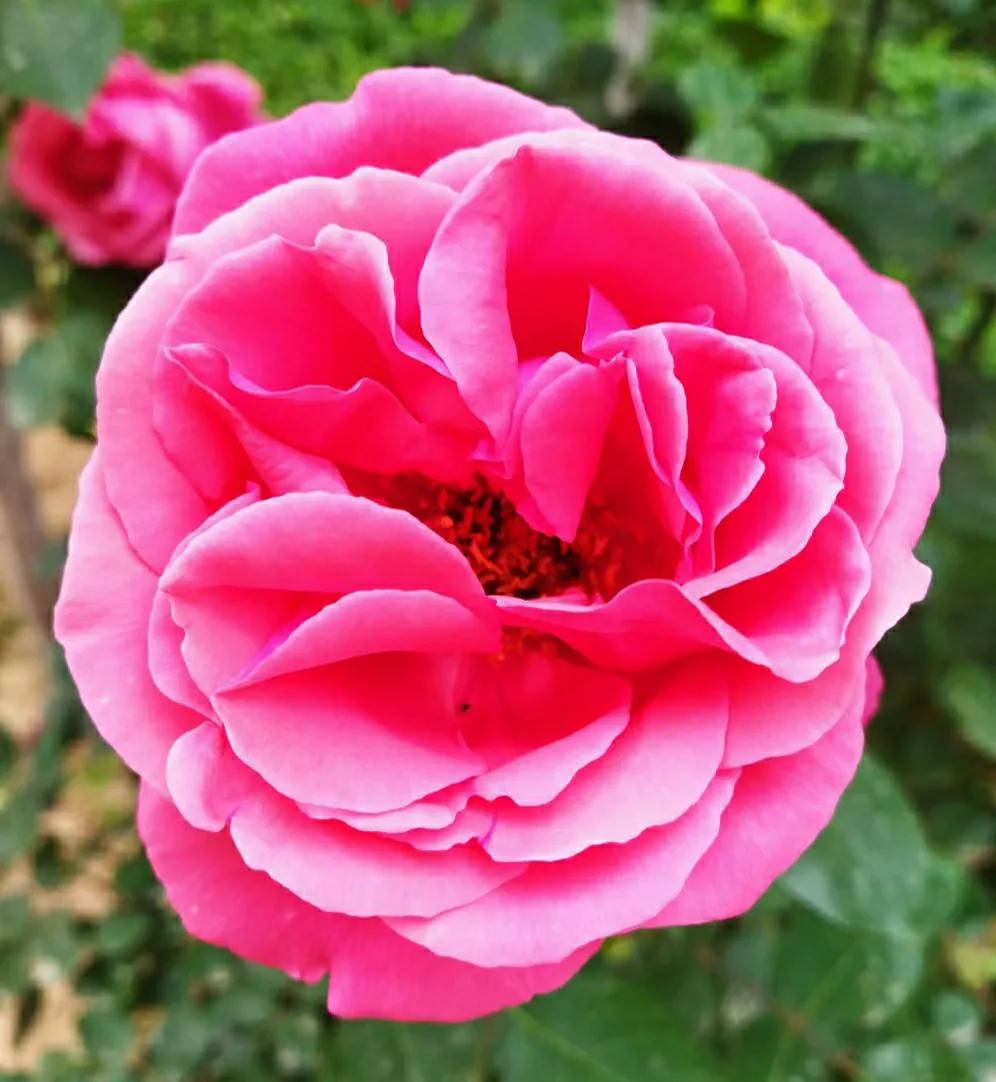 淄博颂钵,淄博颂泽商贸有限公司