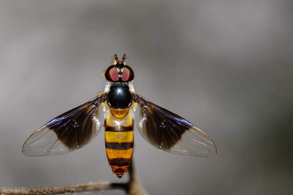 科学家教你谈恋爱?其实很简单,约她/他吃饭就行