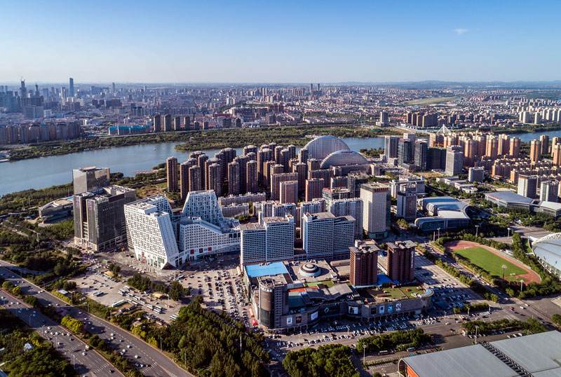 我的十年新东方,我的新东方十年