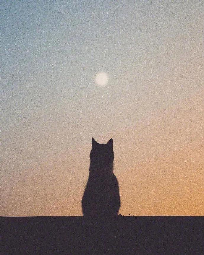 月食发朋友圈句子简单的,凌晨月亮发朋友圈的动人短句子