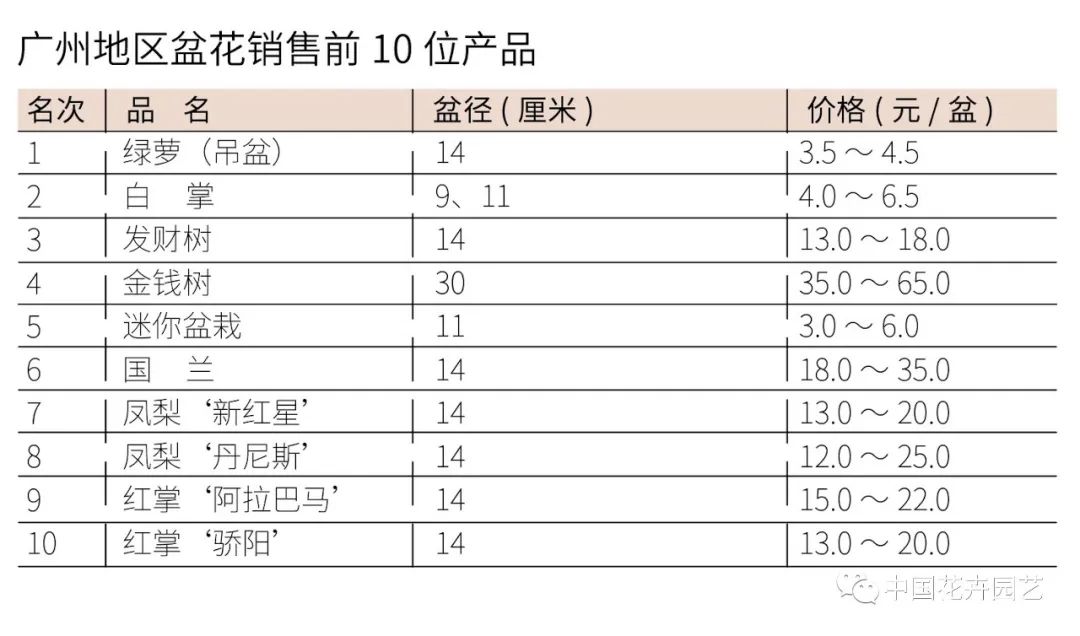 盆花批发市场价格,花卉市场盆花价格多少