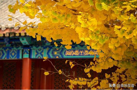 天凉了吃什么最养胃,天气凉了应该多吃什么食物