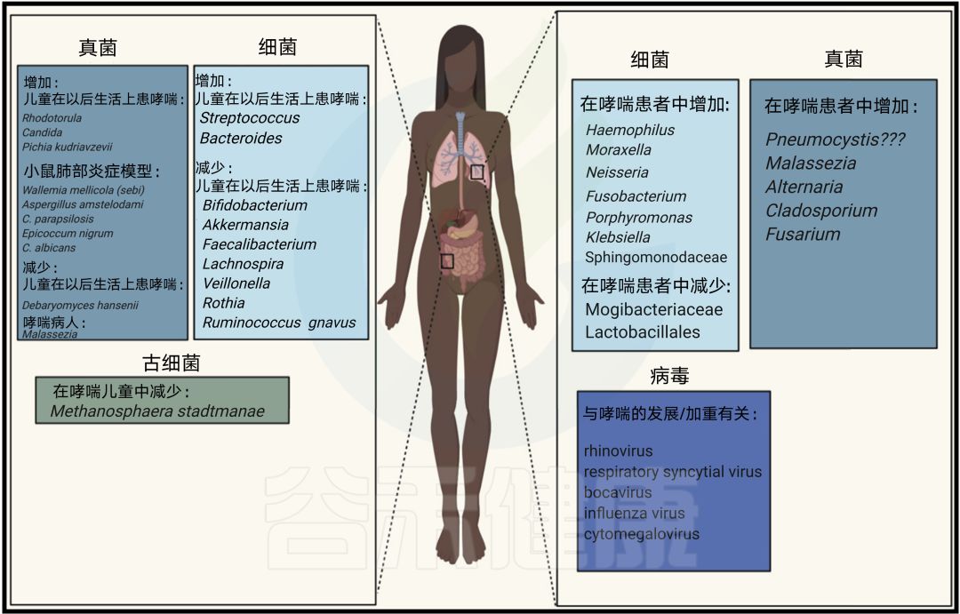 哮喘临床研究动态图表,哮喘国际最新研究成果