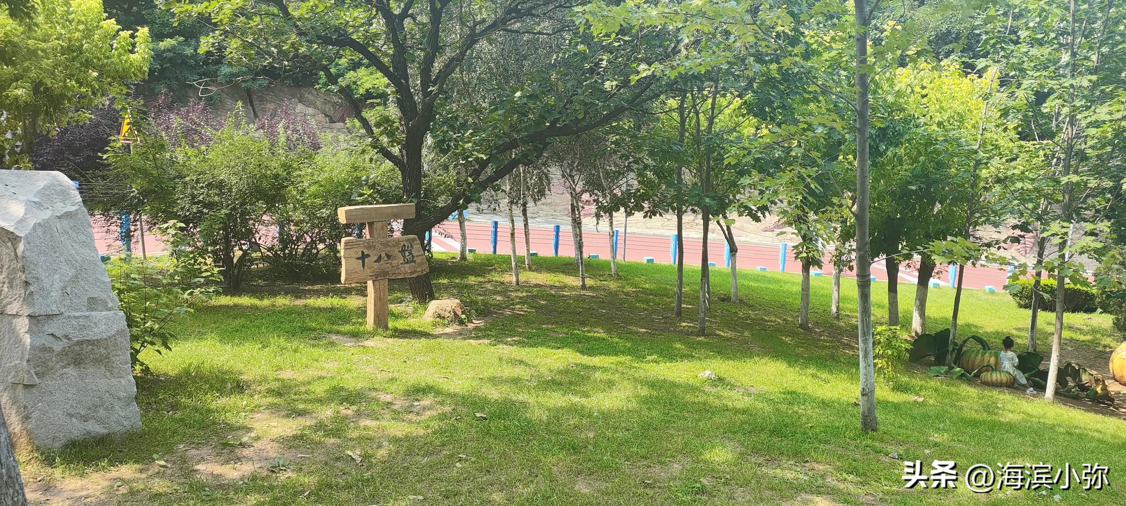 徒步滨海路的感受,海滨公园海岸线徒步