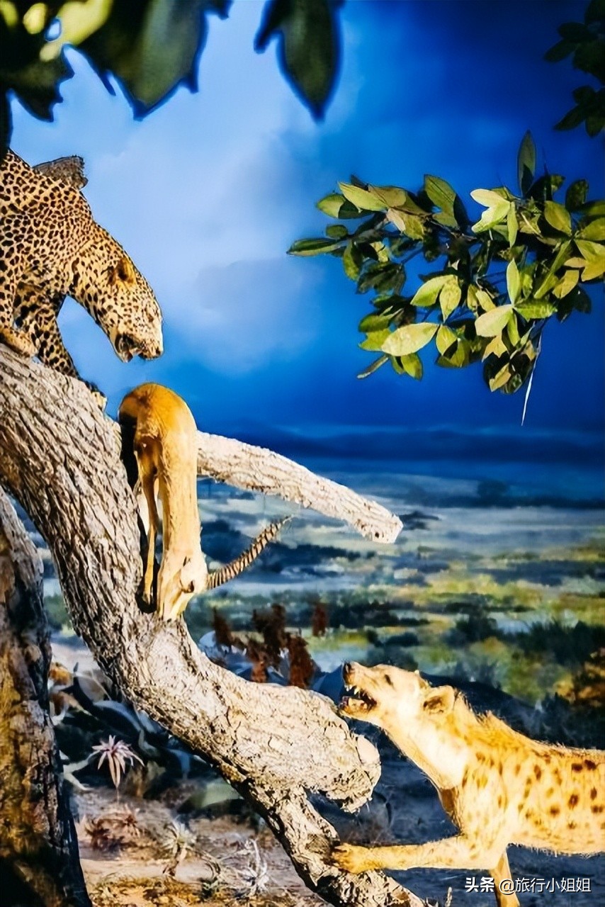 夏日海边微醺氛围感,滨城风光秀丽浪漫气息爆表