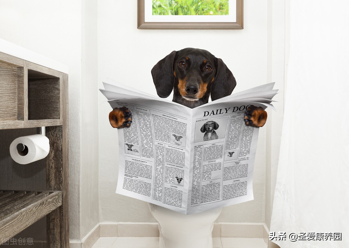 人体的四个重要“出口”，想要健康不生病必须要把它们“管好”