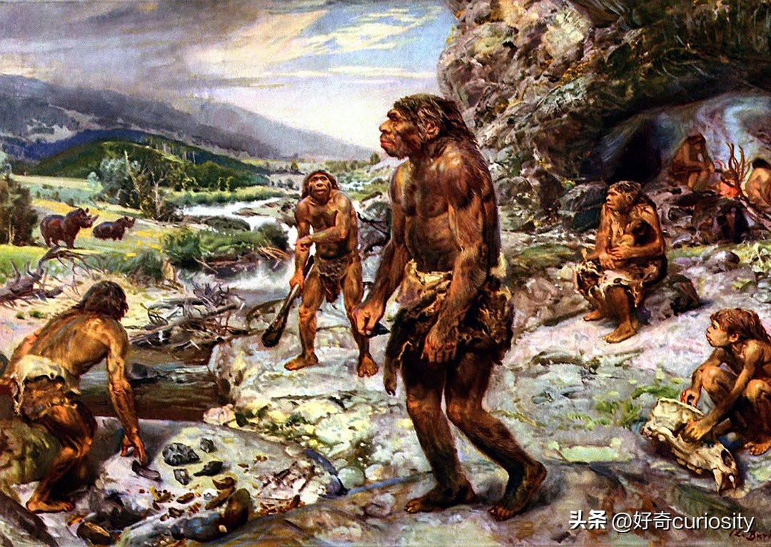 人类的起源进化论影响到底有多大,人类起源的演化过程的问题与解析