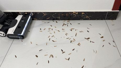 参数是最会骗人的！旗舰洗地机添可3.0追觅M13深度对比