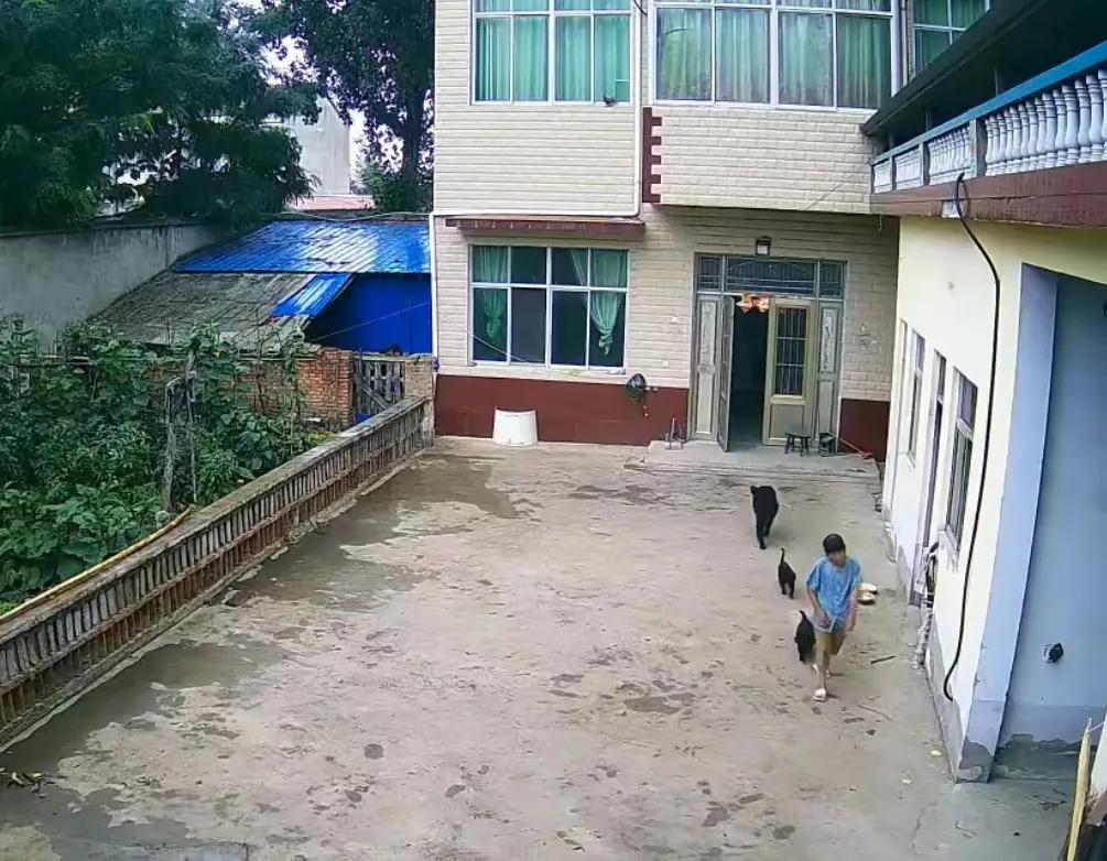 万千心酸：老人喝了药，捂着肚子痛苦出门，但再也未归来…