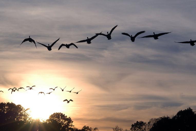 元明清十首词,明清最有影响的诗词