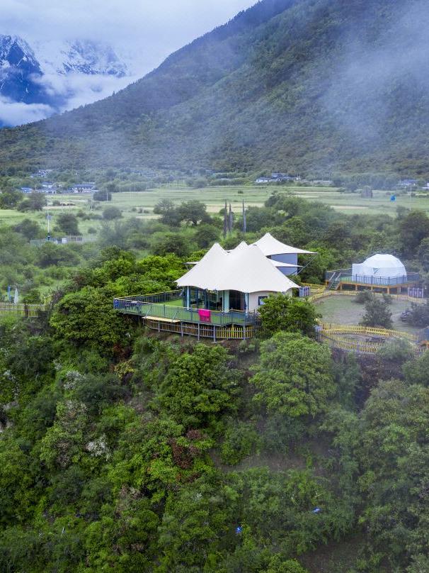 林芝赏桃花之旅,林芝桃花节一日游