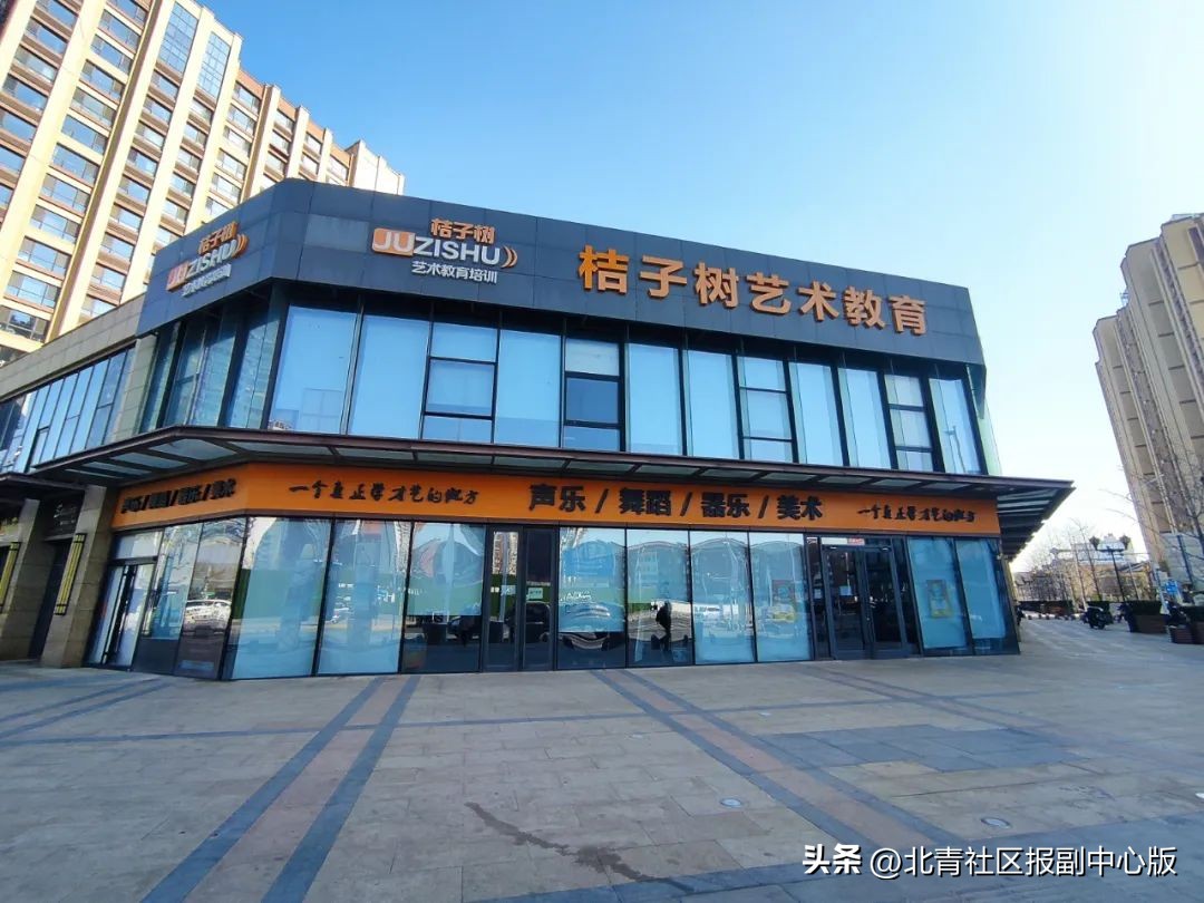 桔子树教育培训机构事件,桔子树培训机构破产了吗