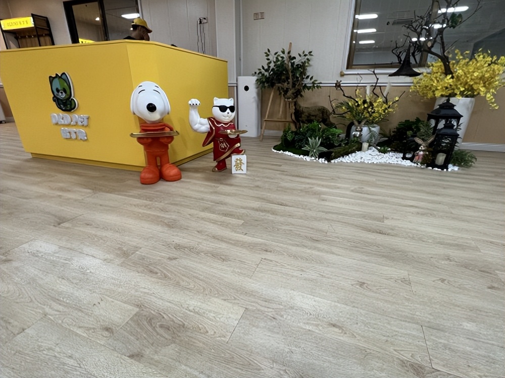 厦门小型宠物寄养店在哪里,厦门宠物专业寄养中心电话