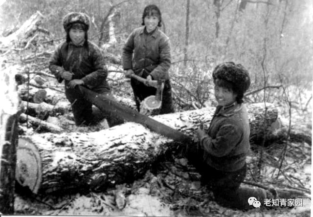 北大荒知青生活叙事诗——北大荒“游击词”100篇