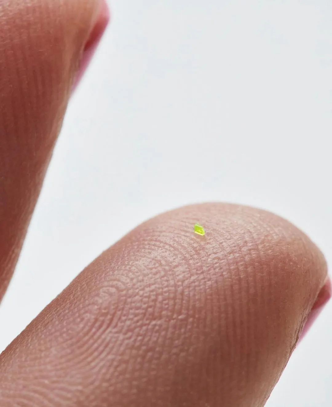 今年流行的lv包包款式,小个子最百搭的奢侈包包lv