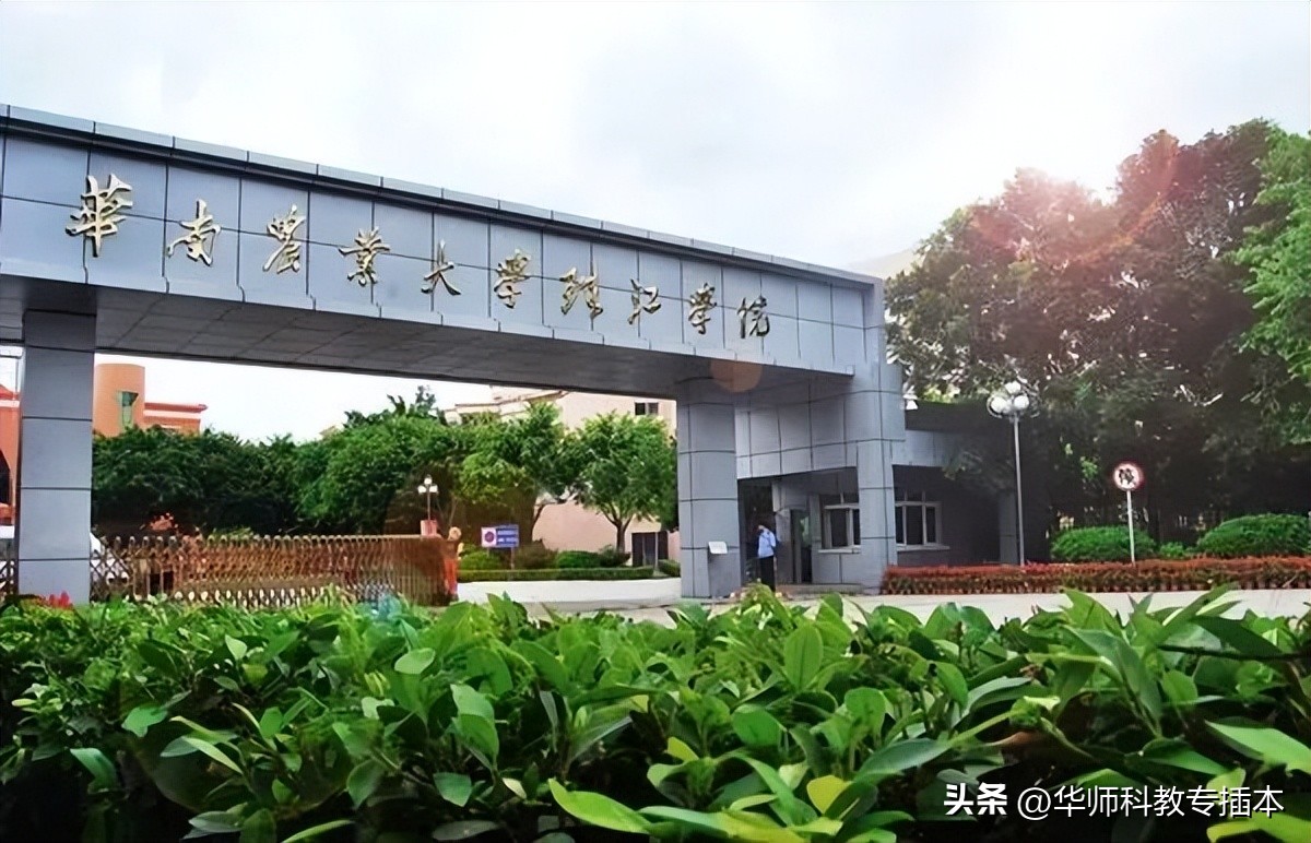华南农业大学珠江学院信息工程,华南农业大学珠江学院形势与政策