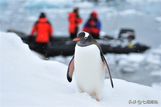 一次完美的旅行指南,一次完美的海岛之旅指南