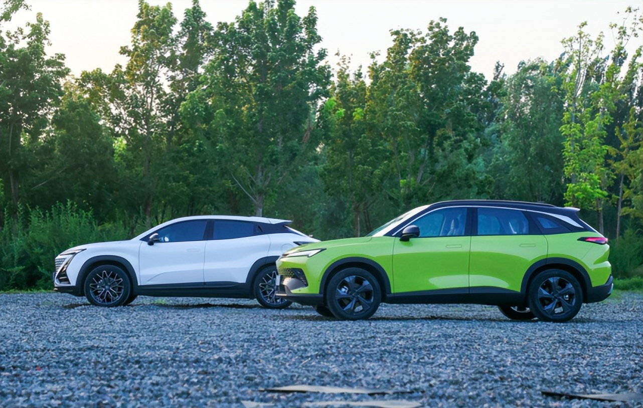 大魔王vs霸王,大魔王与小霸王