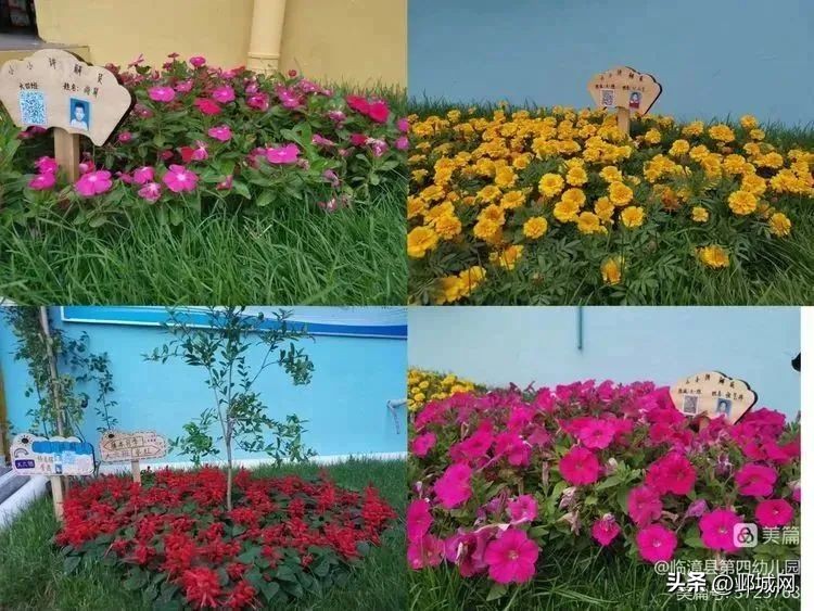 四完小六一儿童节活动,临漳幼儿园六一儿童节