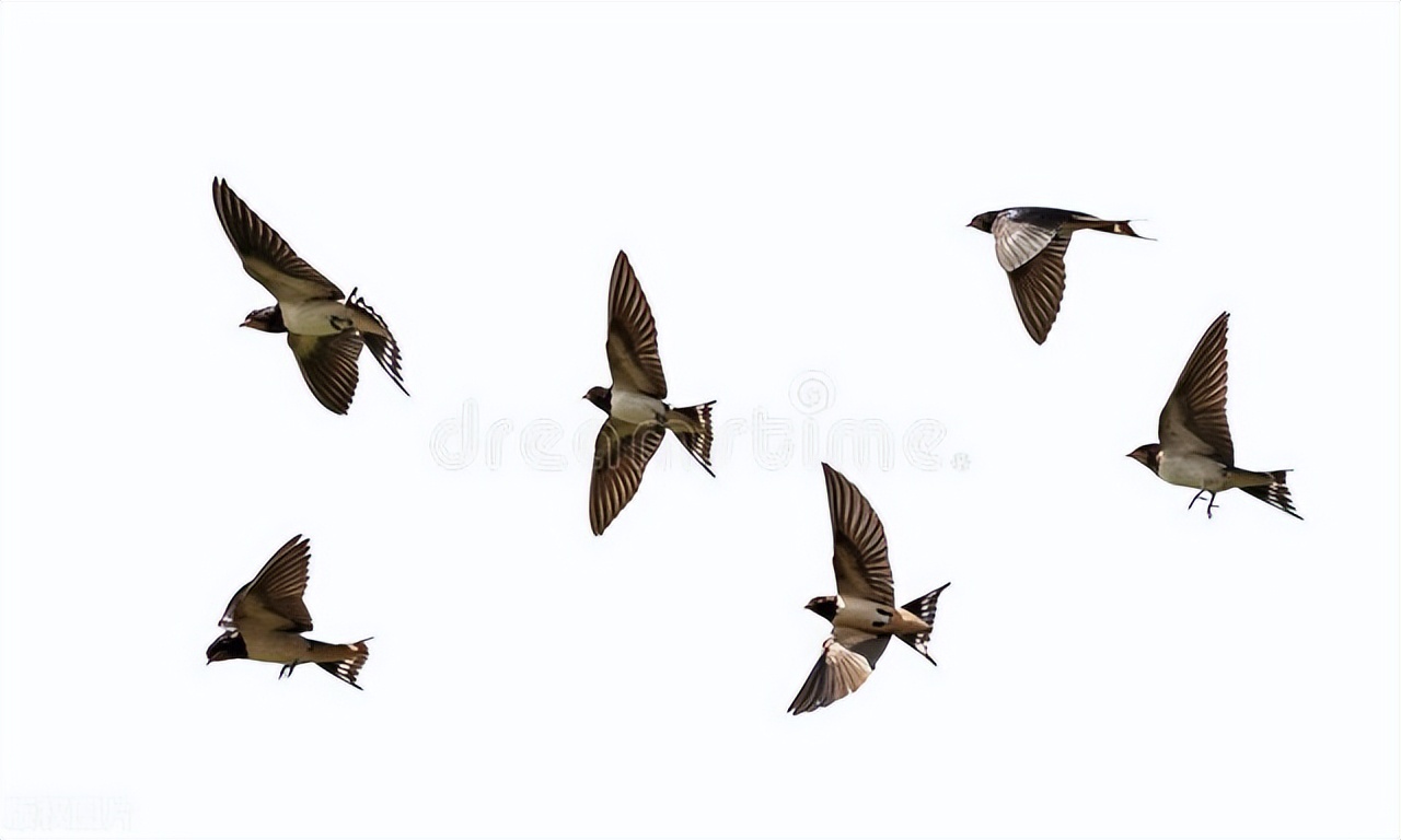 民间故事两个人吹牛笑死人,民间故事穷小子学本事