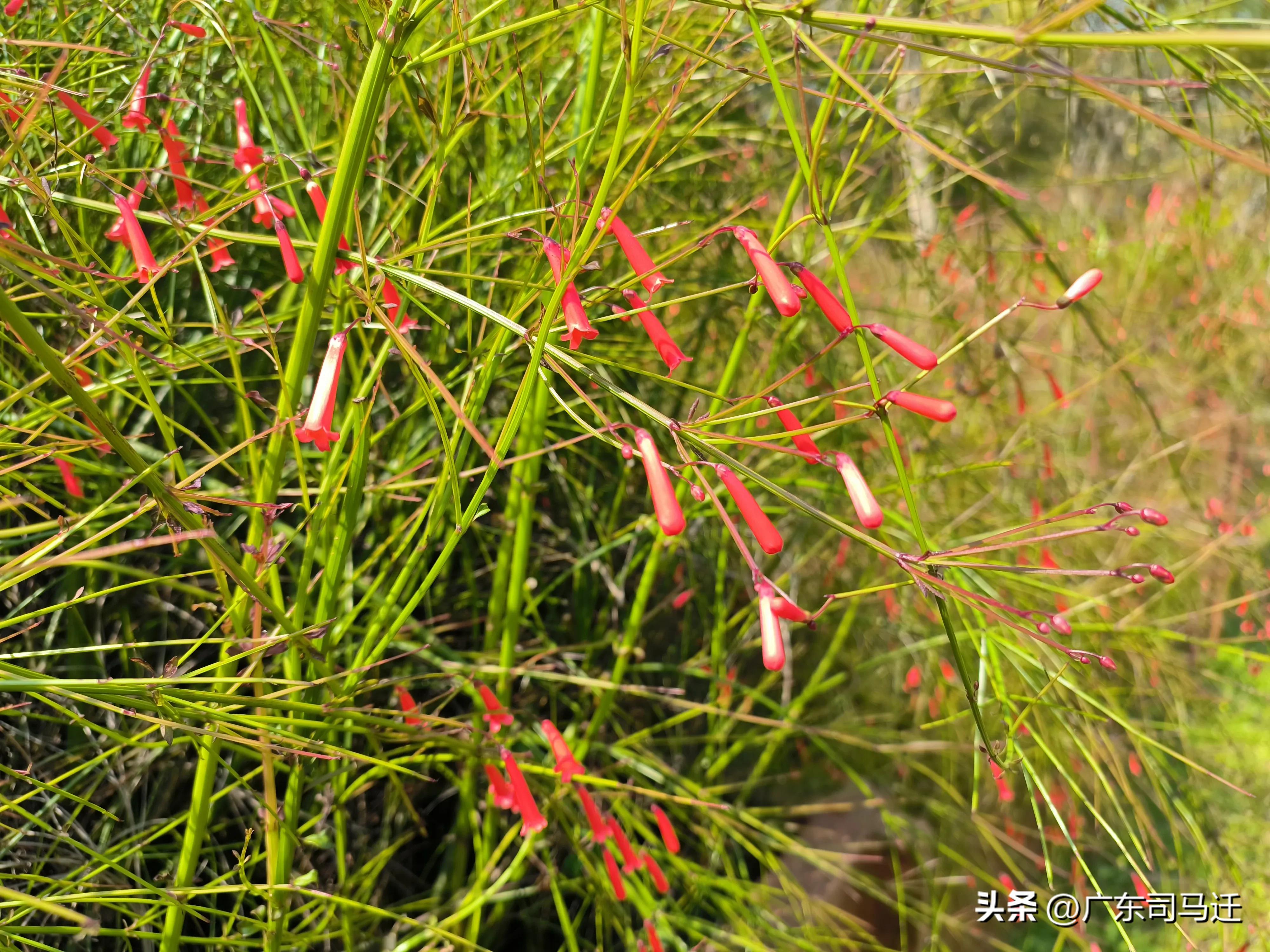 好玩的中山公园,中山公园这儿真美