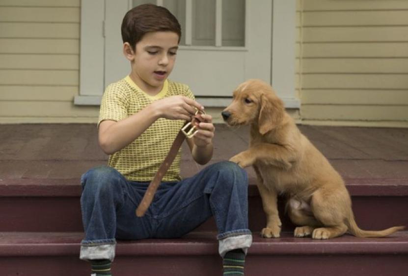 无条件的爱的意义,球王贝利这个故事告诉我们什么