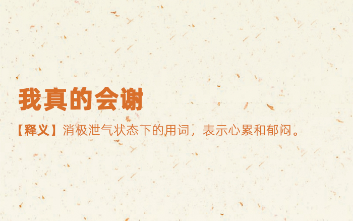 2020上半年网络热词大全收藏,2019年度网络热词统计图片